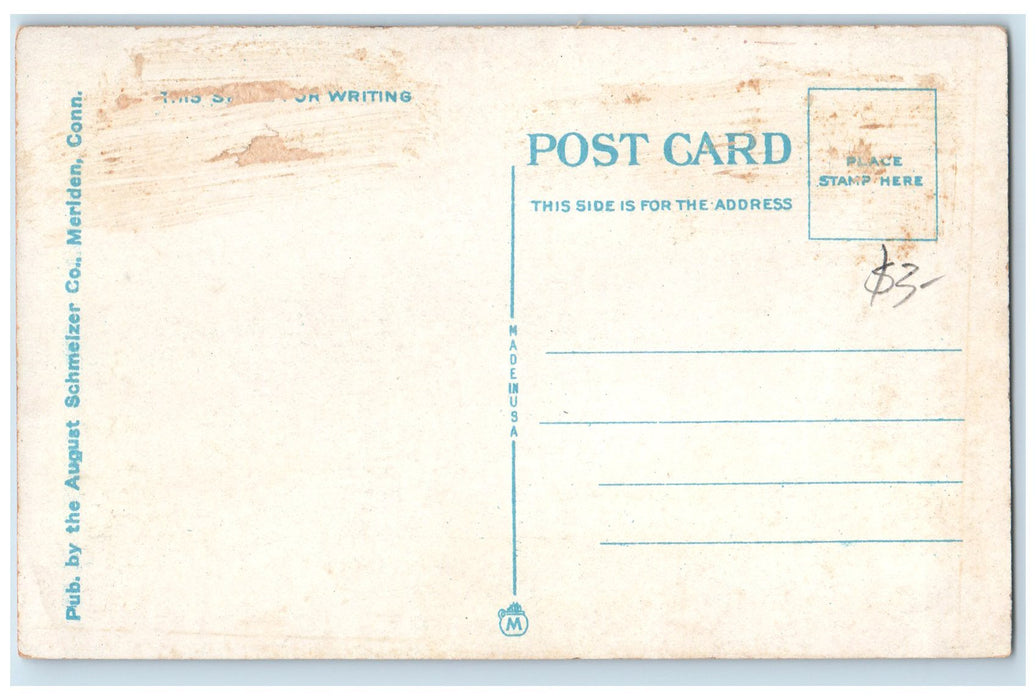 c1920's The Lyman Hall High School Wallingford Connecticut CT Trees Postcard