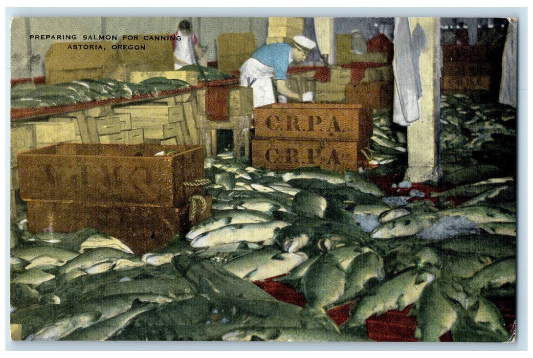 c1940's Preparing Salmon For Canning Scene Astoria Oregon OR Unposted Postcard