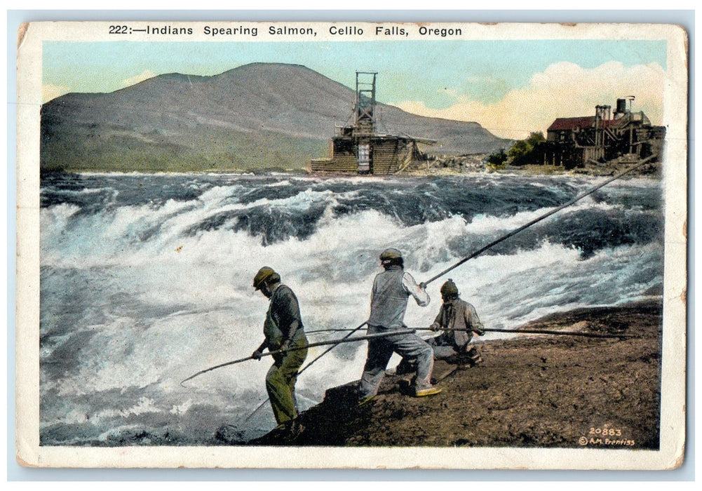 c1920's Indians Spearing Salmon Fishermen Scene Celilo Falls Oregon OR Postcard