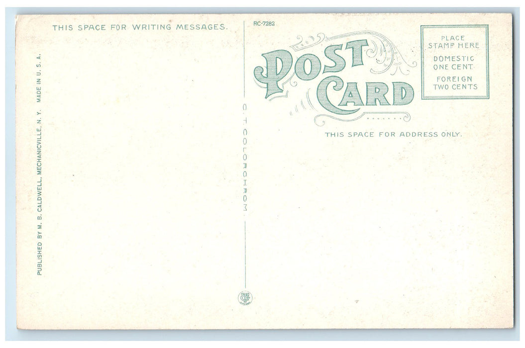 c1920 Lake Chaplain Looking South Steam Boat From Wright's New York NY Postcard