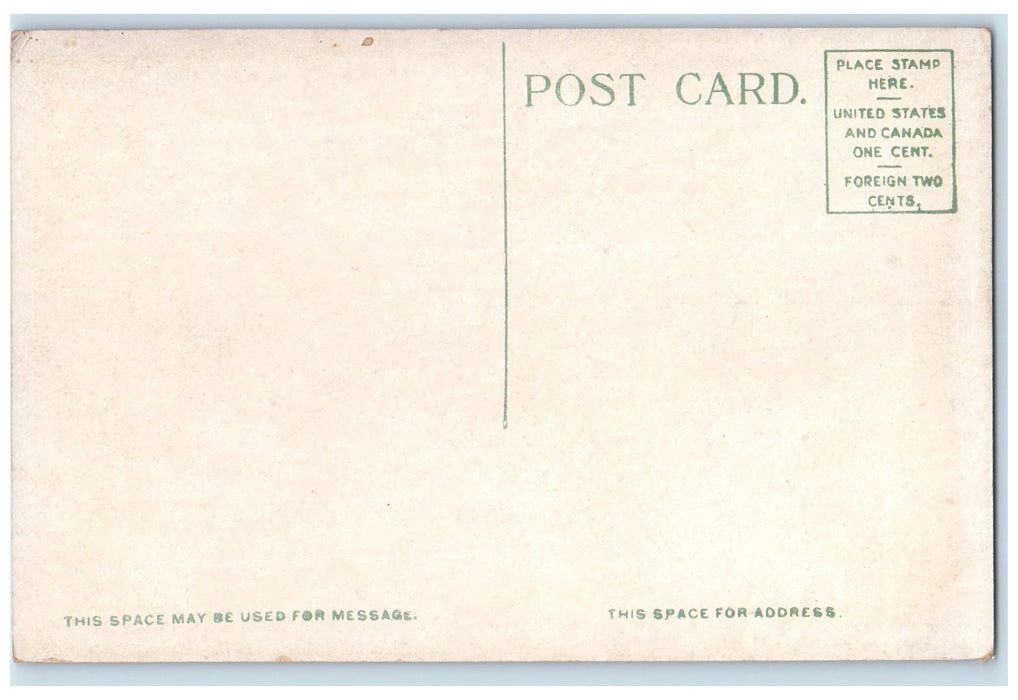 c1920's Bear Cage Forest Park Bears View Springfield Massachusetts MA Postcard