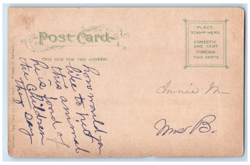 c1905s Camel And Boat House Roger William's Park Providence RI Unposted Postcard