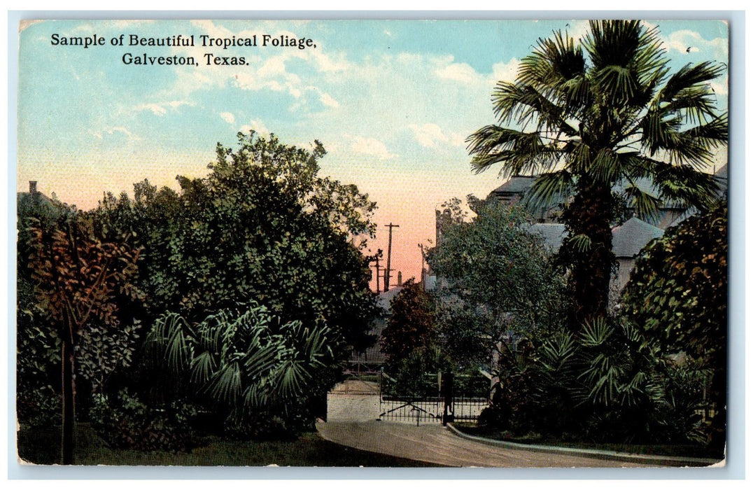 1913 Sample Of Beautiful Foliage Gated Pathways Galveston Texas TX Postcard