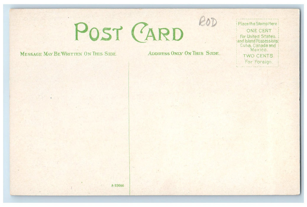 c1910s Glass Bottom Boat Empress Avalon Santa Catalina Island CA Flags Postcard