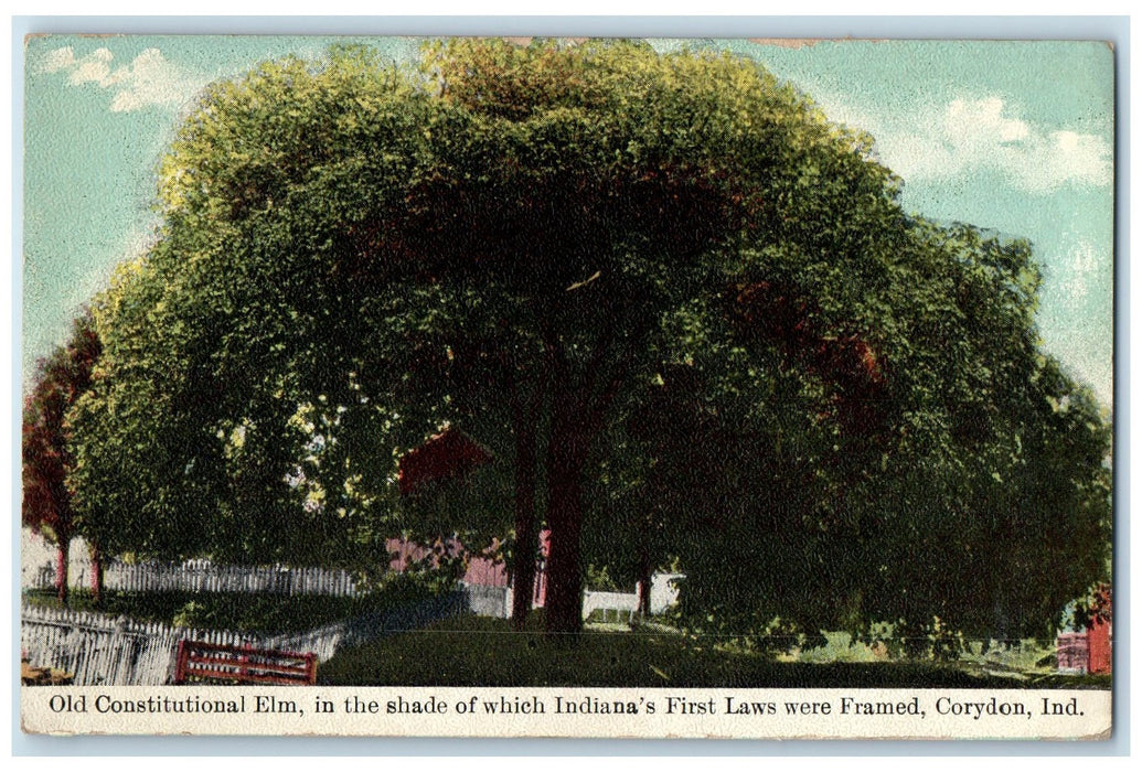 c1910s Old Constitutional Elm India's First Laws Framed Corydon IN Tree Postcard