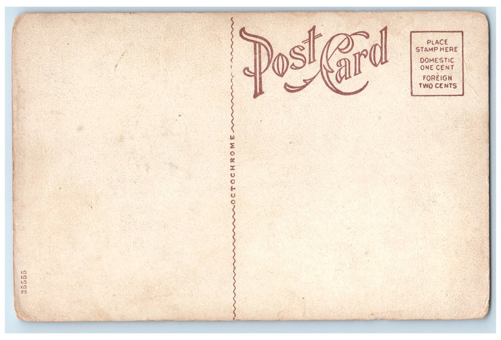 c1920's Greetings From Wayland Dock Boat Dirt Road Forest Michigan MI Postcard