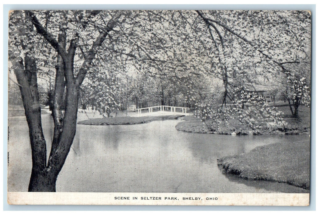 1948 Trees And Bridge Scene In Seltzer Shelby Ohio OH Posted Vintage Postcard