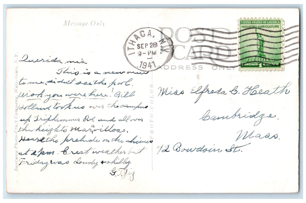 1941 Swimming Pool Buttermilk Falls Bathing Visitors Ithaca New York NY Postcard