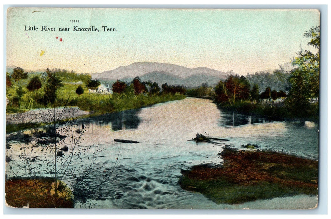 c1910's Little River Trees Scene Near Knoxville Tennessee TN Unposted Postcard