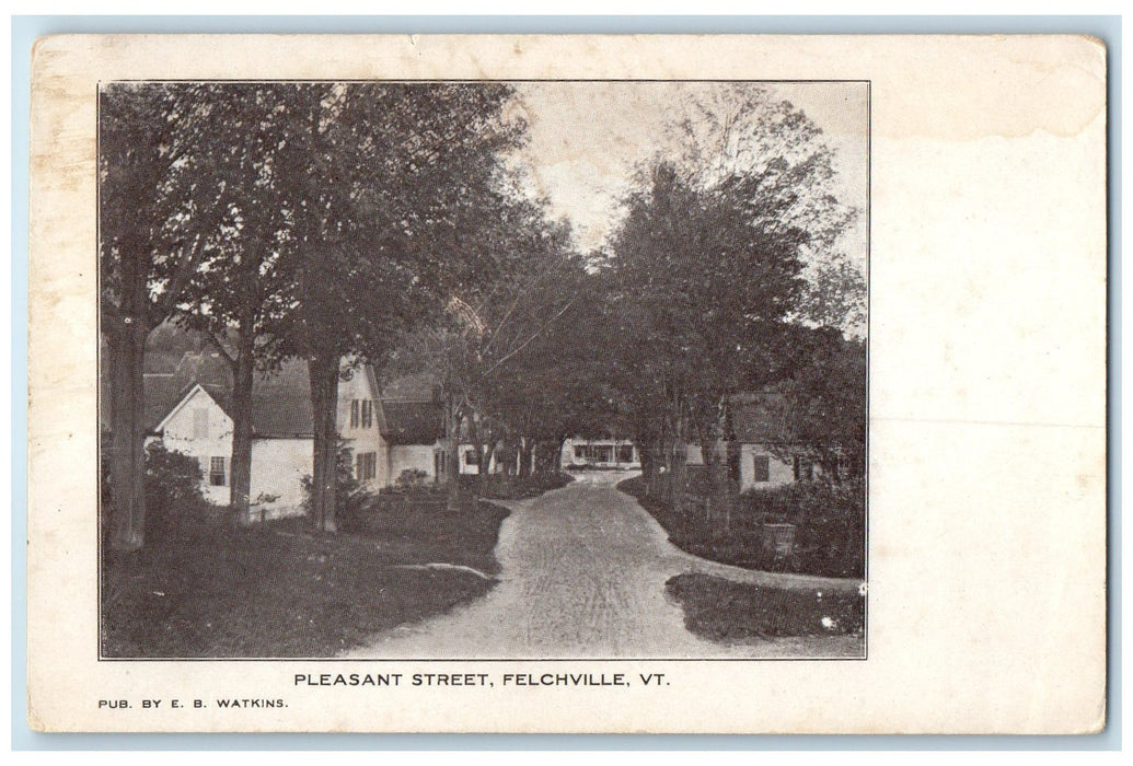 c1905 Pleasant Street Dirt Road Houses Lined Tree Felchville Vermont VT Postcard