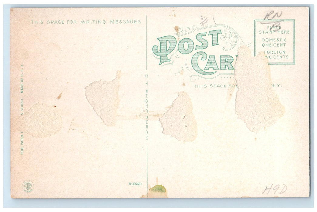 c1910 East Central State Normal Building Flowers Beads Ada Oklahoma OK Postcard