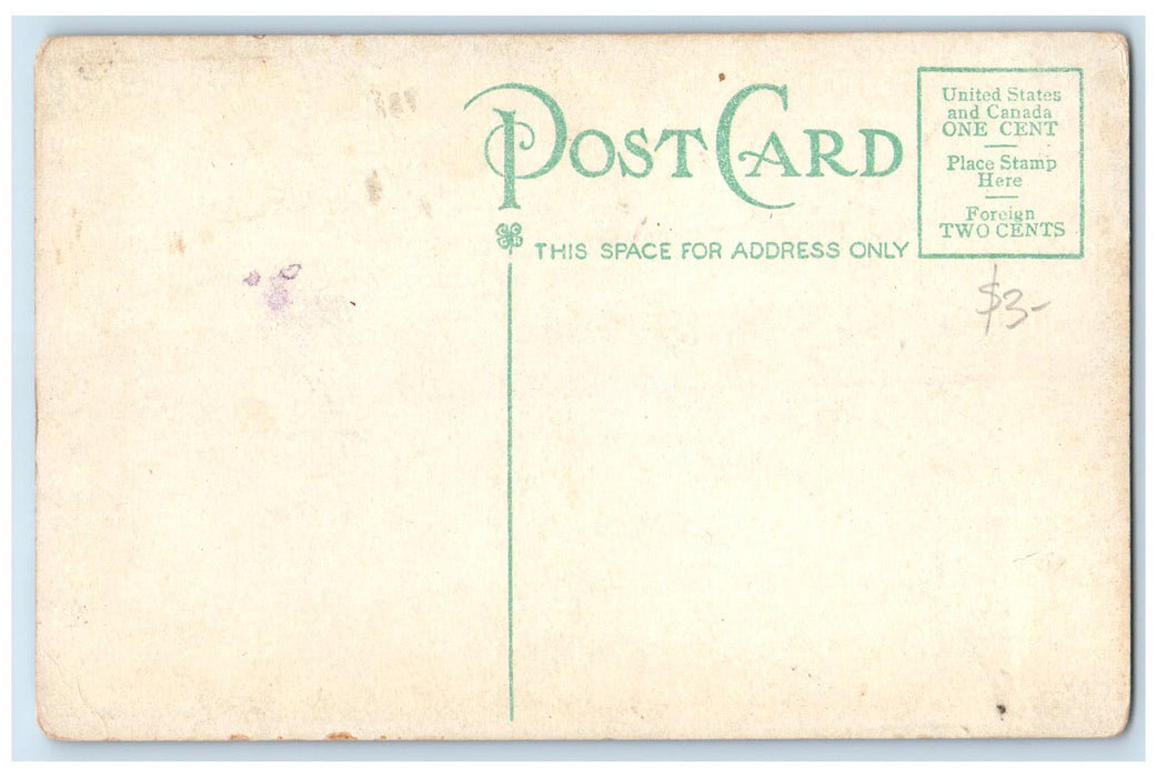 c1910's A Scene In Lincoln Park Galesburg Illinois IL Posted Vintage Postcard