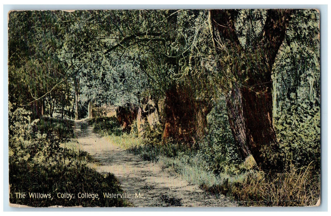 1911 The Willows Colby College Dirt Road Forest Waterville Maine ME Postcard