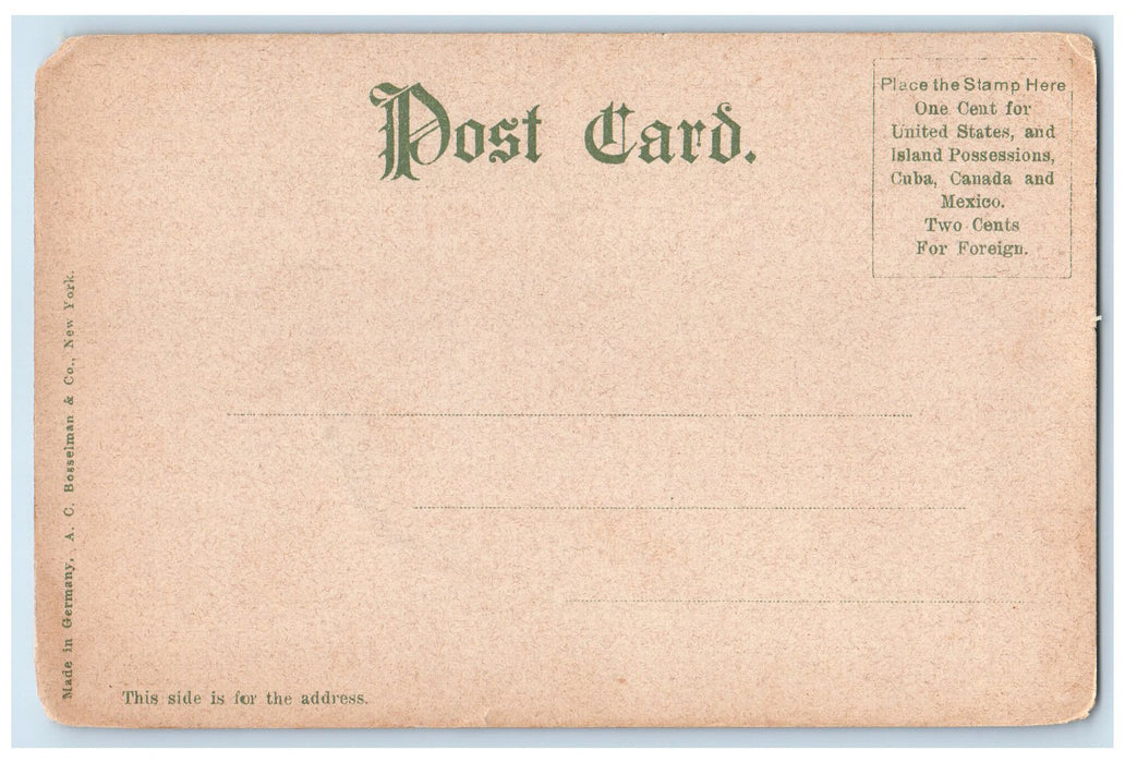c1905's Turn O' Rocks Couple Bicycle Dirt Road Athens Pennsylvania PA Postcard