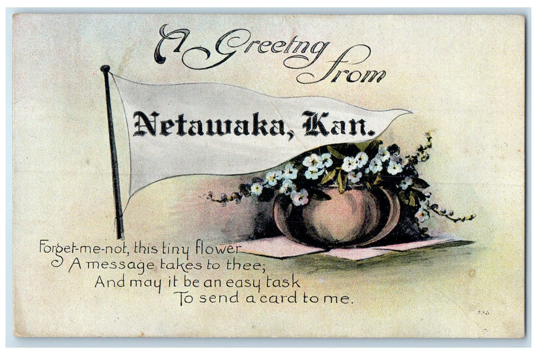 1910 Greetings From Netawaka Flowers And Flag Kansas KS Posted Vintage Postcard