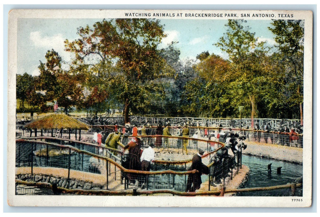 c1940s Watching Animals At Brackenridge Park Scene San Antonio Texas TE Postcard