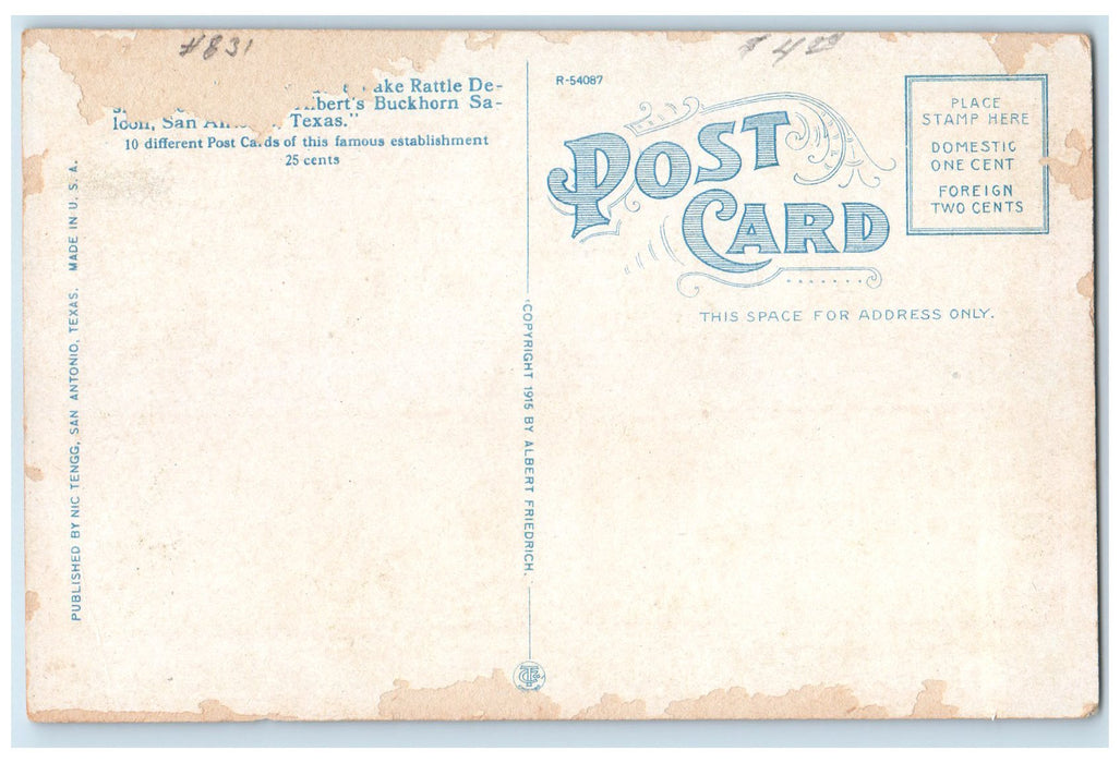 c1910's Designs Made By Rattlesnake Rattles San Antonio TE Unposted Postcard