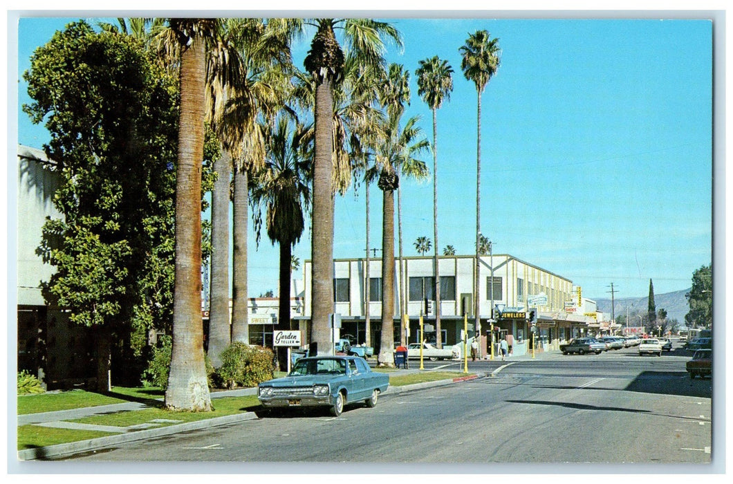 c1950's Tall Stately Palms Line Florida Avenue View Hemet California CA Postcard