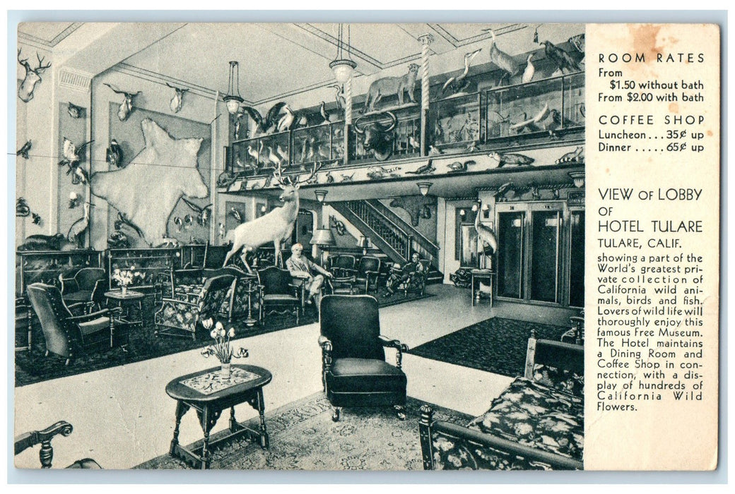 c1920 View Of Lobby Hotel Tulare Animal Collection Tulare California CA Postcard