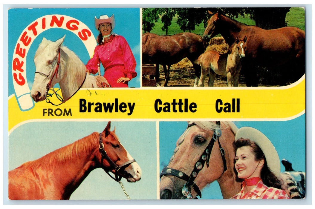 1966 Greetings From Brawley Cattle Riding Horses Foal California CA Postcard