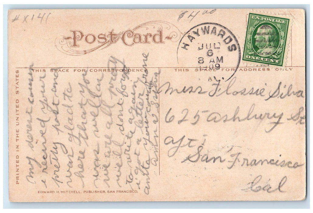 1909 California Celery Fields Horse Plowing Orange County California CA Postcard