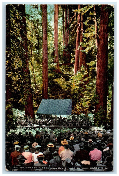 c1910's Concert In Bohemian Grove Orchestra Russian River California CA Postcard