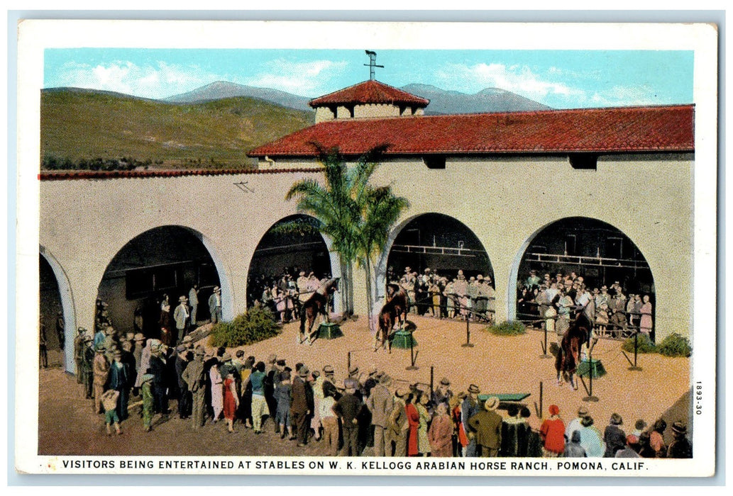 c1920's Horse Show Stables On WK Kellogg Arabian Horse Ranch Pomona CA Postcard
