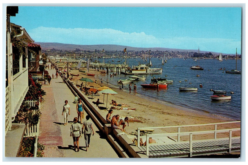 c1950's Bay Front Boating Bathing Swimming Balboa Island California CA Postcard