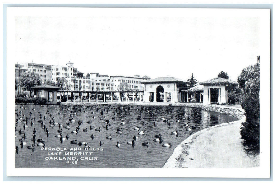 c1920 Pergola & Ducks Lake Buildings Park Merritt Oakland California CA Postcard