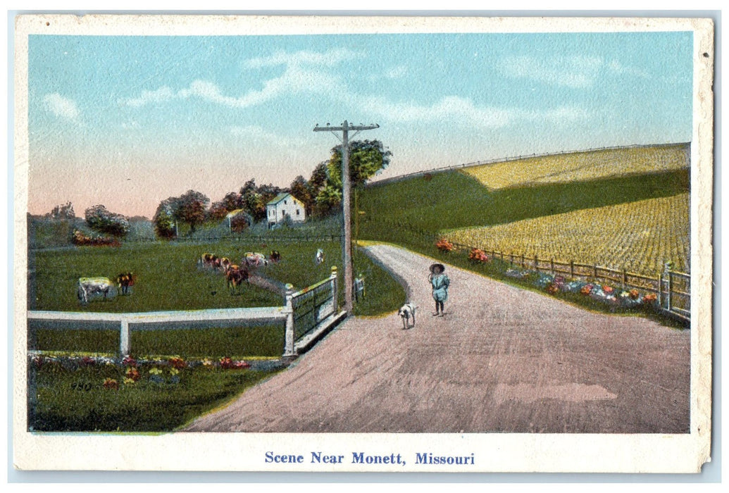 c1905's Scene Kid With The Dog Dirt Road Farm Near Monett Missouri MO Postcard