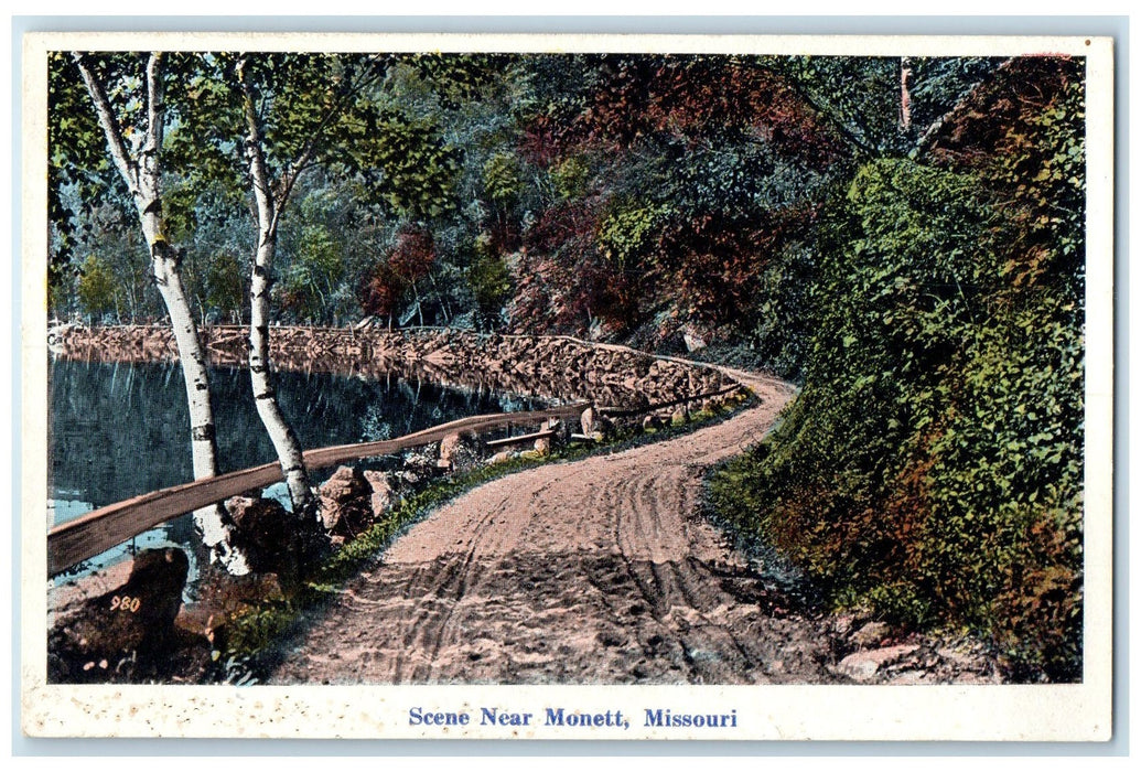 c1920's Scene Lake Side Dirty Road Fence Grove Near Monett Missouri MO Postcard