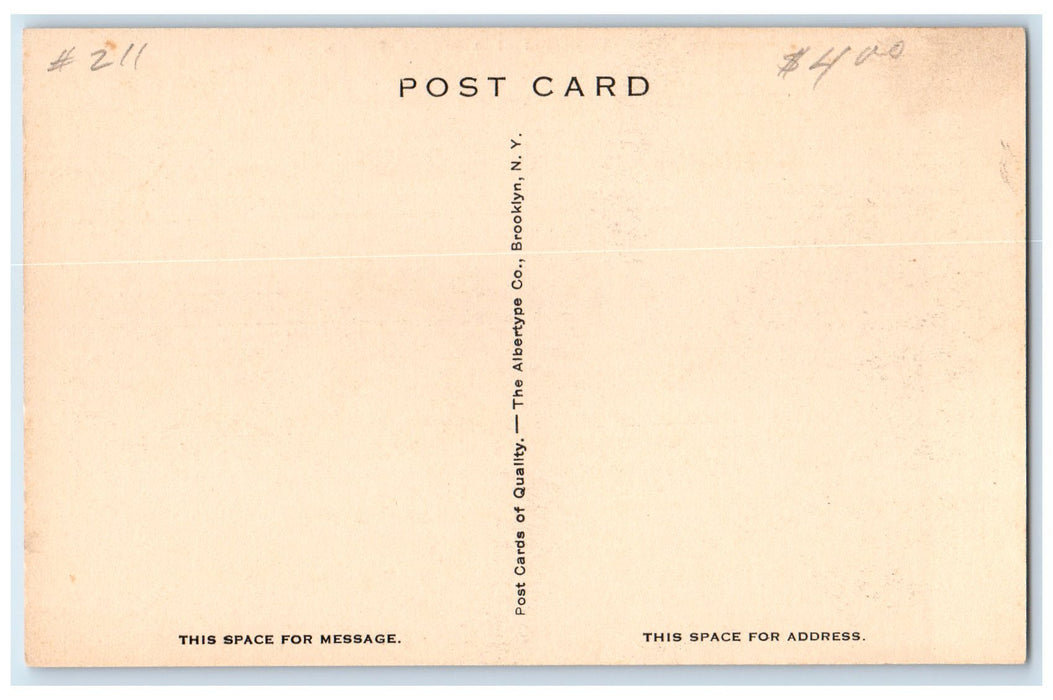 c1940's Mountain View Hotel Sulphur Springs Arkansas AR Unposted Trees Postcard