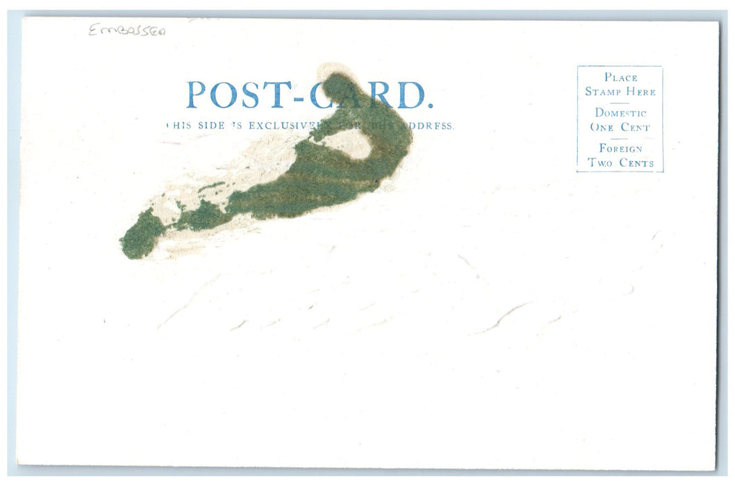 c1905s Northeast From Grand View Point Grand Canyon Arizona AZ Embossed Postcard