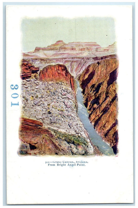 c1905's From Bright Angel Point Scene Grand Canyon Arizona AZ Embossed Postcard