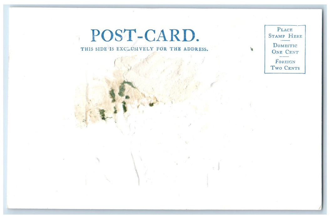 c1905's From Bright Angel Point Scene Grand Canyon Arizona AZ Embossed Postcard