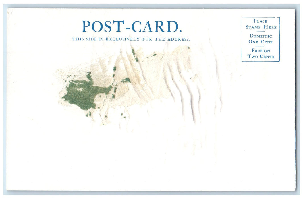 c1905s O' Neill's Point Scene Grand Canyon Arizona AZ Unposted Embossed Postcard