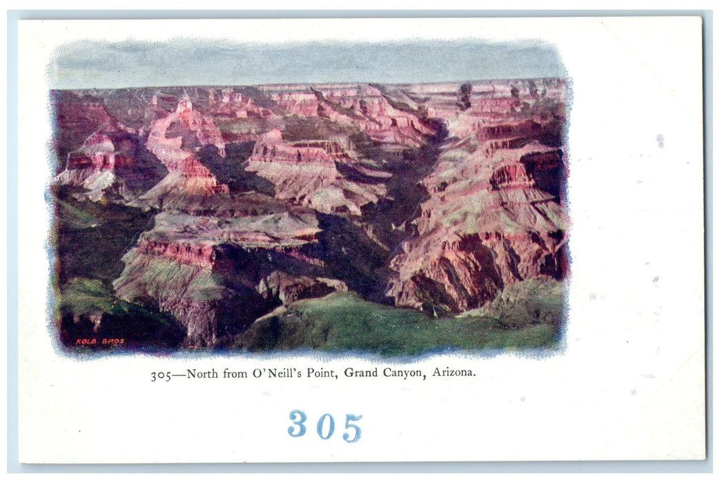 c1905's North From O' Neill's Point Grand Canyon AZ Unposted Embossed Postcard