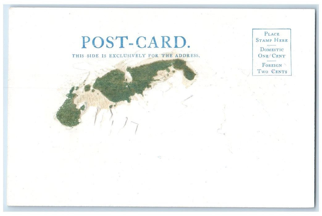 c1905's North From O' Neill's Point Grand Canyon AZ Unposted Embossed Postcard
