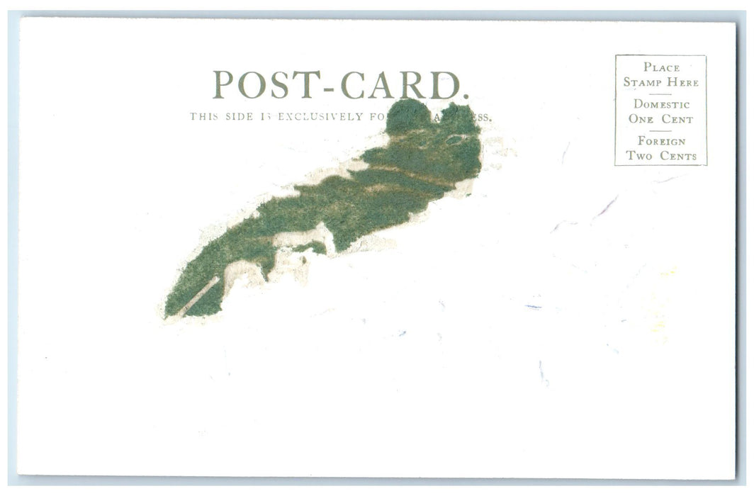 c1905s Rowe's Point Looking East View Grand Canyon AZ Unposted Embossed Postcard