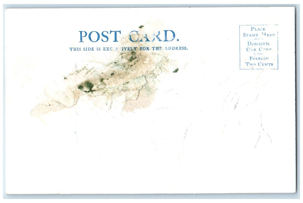 c1905's Panorama Point Of Grand Canyon Arizona AZ Unposted Embossed Postcard
