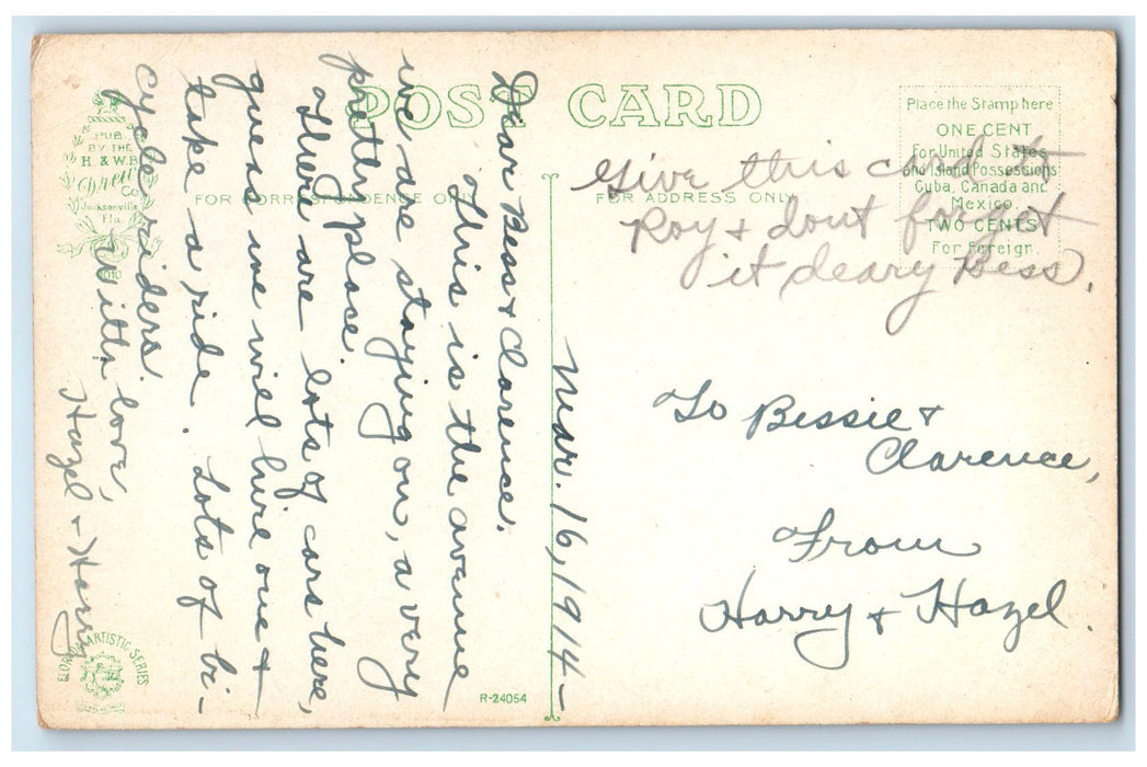 c1910's Crooked Branch Tree Magnolia Avenue Daytona Florida FL Unposted Postcard