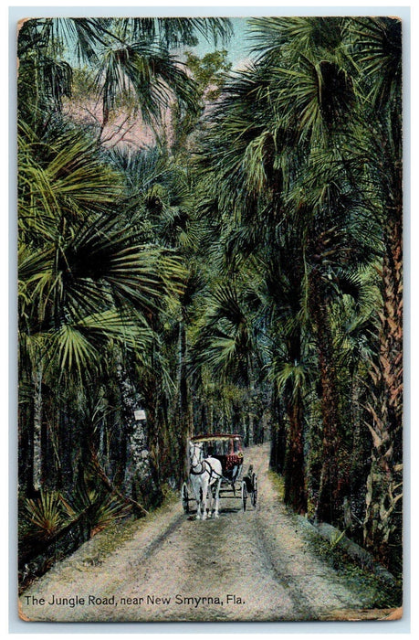 1910 The Jungle Road Carriage Scene Near Smyrna Florida FL Posted Horse Postcard