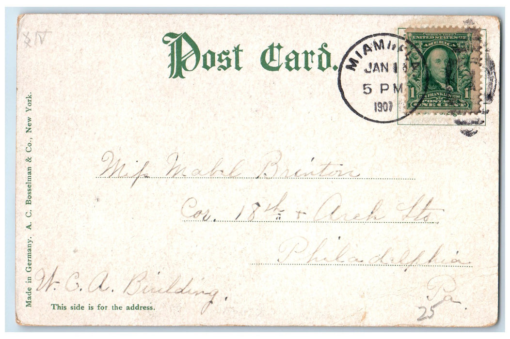 1907 The Royal Poinciana Hotel Seaside Scene Palm Beach Florida FL Tree Postcard