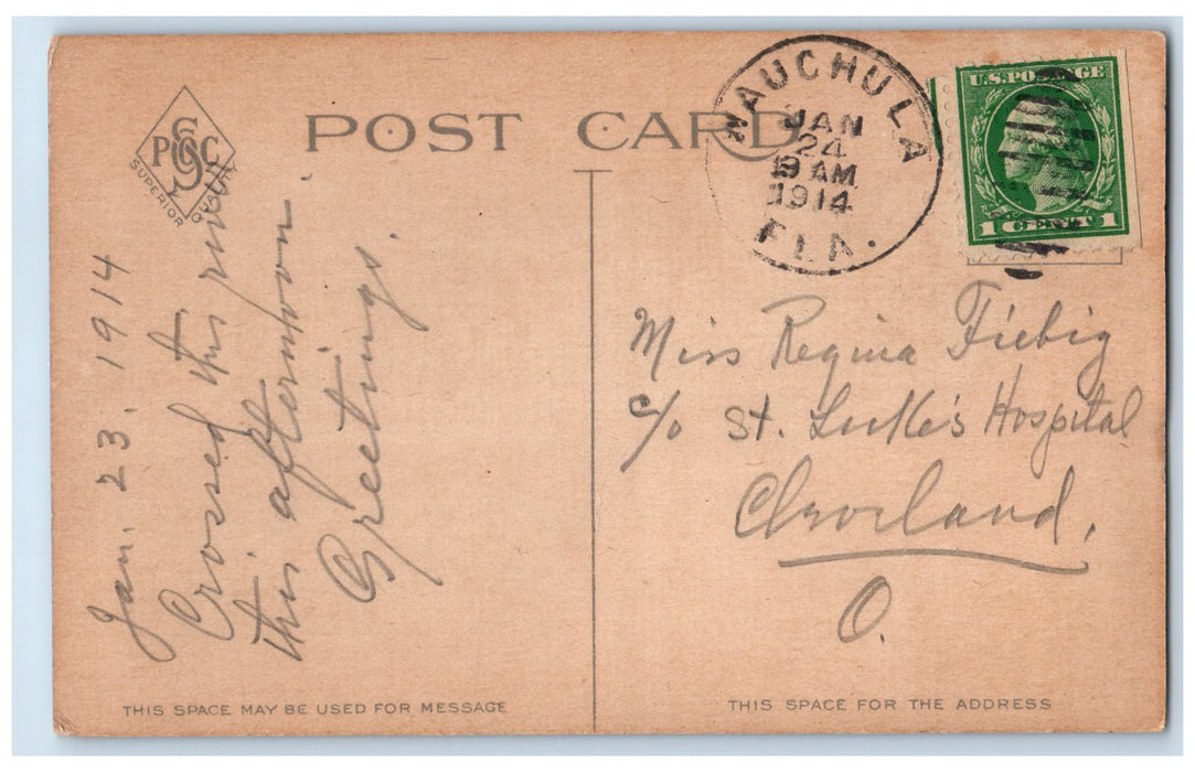 1914 Peace River Trees Reflection Clouds Wauchula Georgia GA Posted Postcard