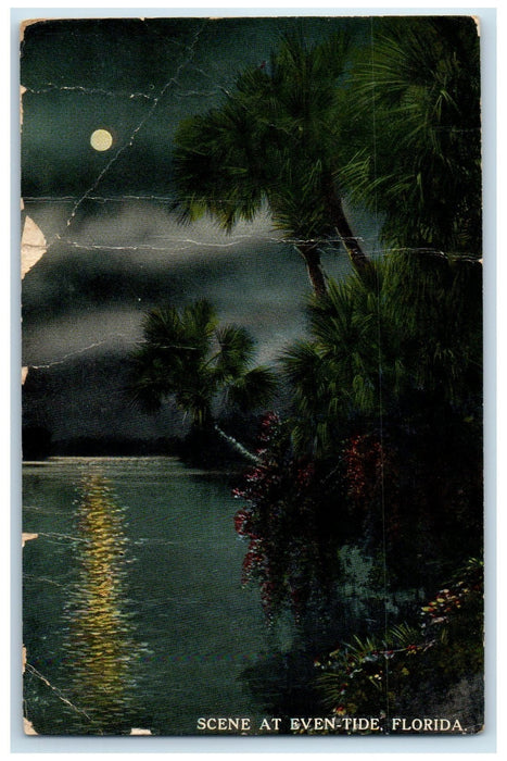 c1910s Full Moon Moonlight Scene At Even Tide Florida FL Unposted Trees Postcard