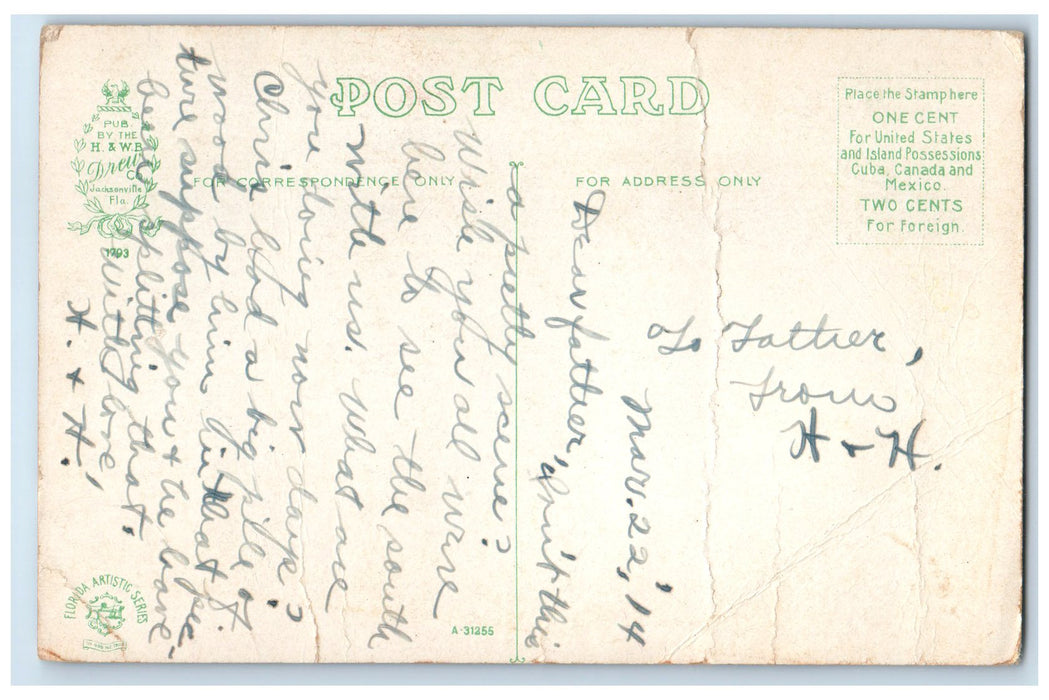 c1910s Full Moon Moonlight Scene At Even Tide Florida FL Unposted Trees Postcard