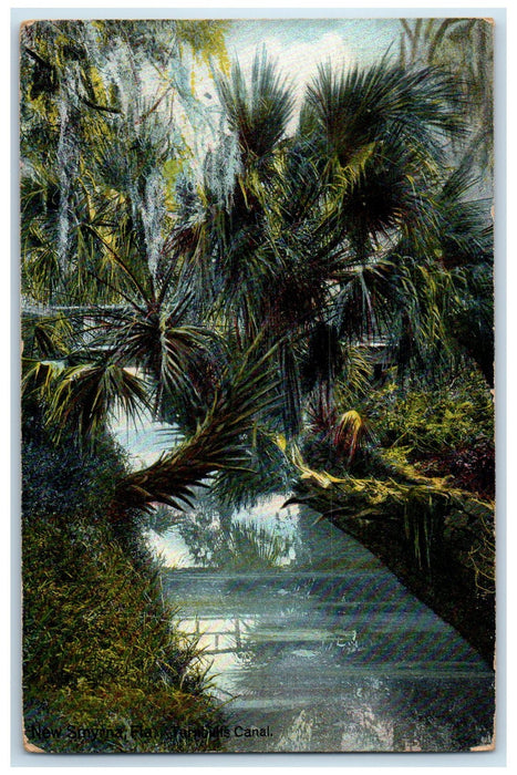 1919 Florida Turnbulls Canal Trees Scene New Smyrna Florida FL Posted Postcard