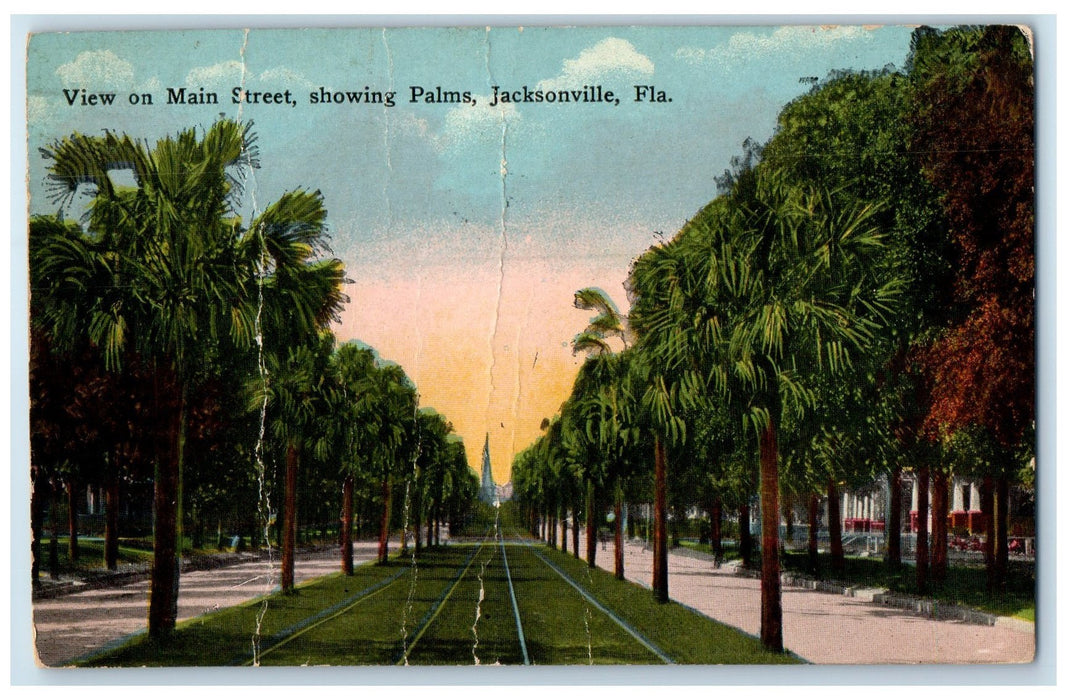 1915 View On Main Street Showing Palms Jacksonville Florida FL Posted Postcard