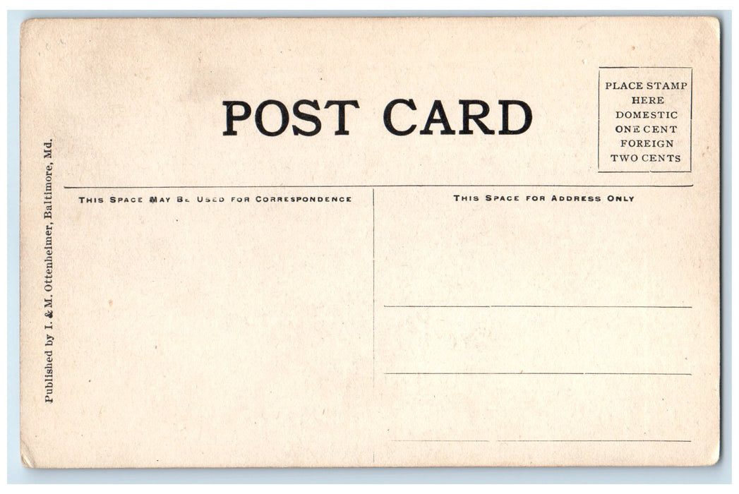 c1910 Washington Statue Carriage Capitol Grounds Washington DC Unposted Postcard