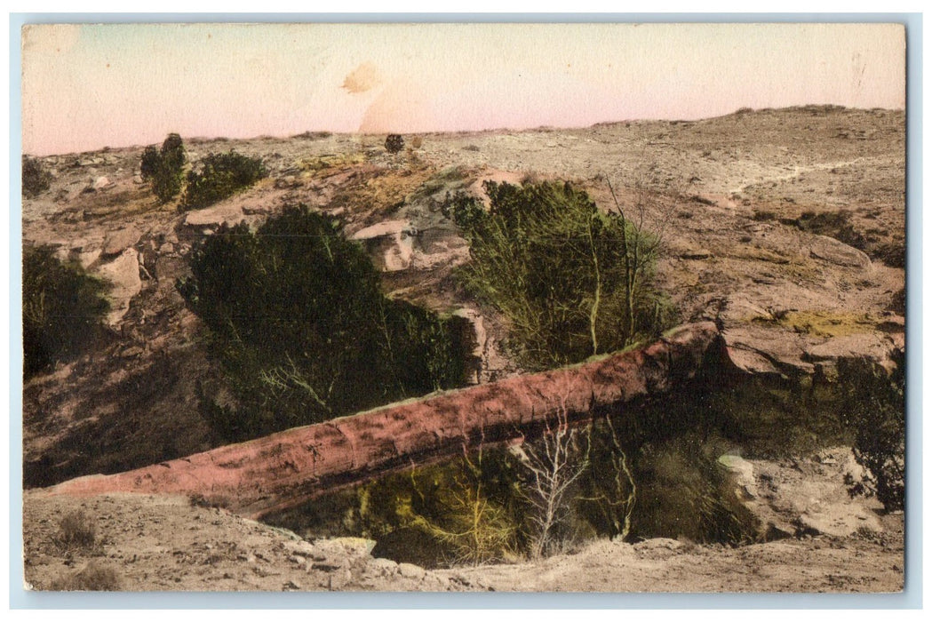 1926 Natural Bridge Petrified Forest View Adamana Arizona AZ Posted Postcard